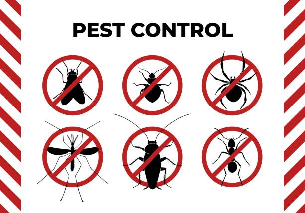 Pest Control Solutions